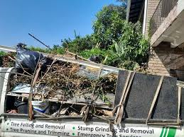 Demolition Debris Removal in Boulevard Gardens, FL